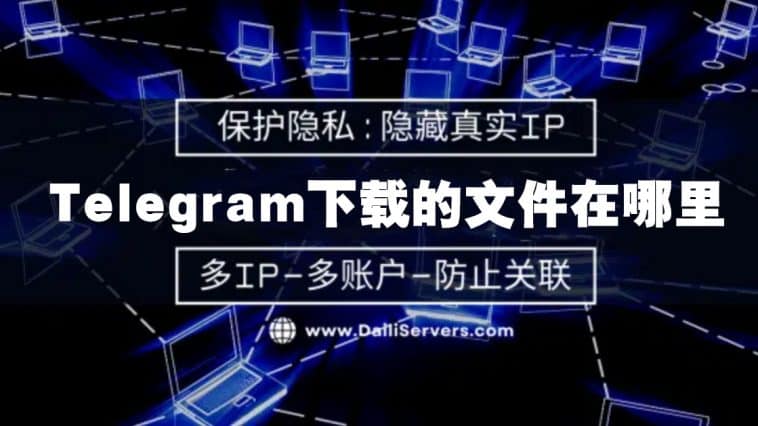 telegram下载的东西在哪个文件夹